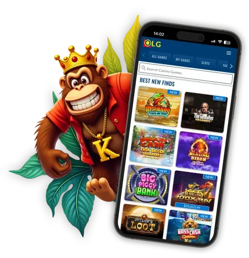 Programos peržiūra